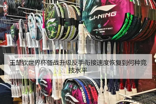 王楚钦世界杯备战升级反手衔接速度恢复到何种竞技水平（LEYU）